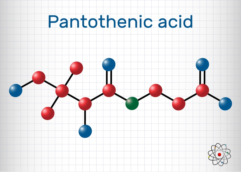 Pantothenic Acid for Stress Management and Anxiety Relief